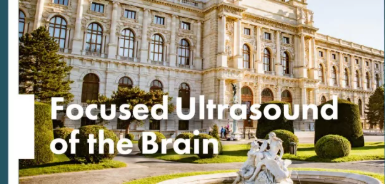 FUS of the Brain
